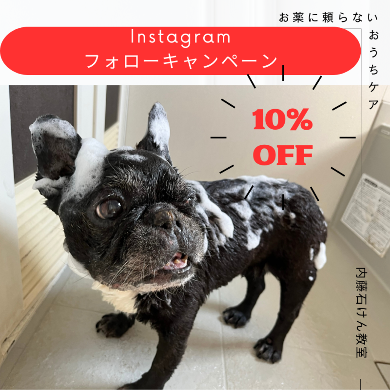 Instagramフォローキャンペーン