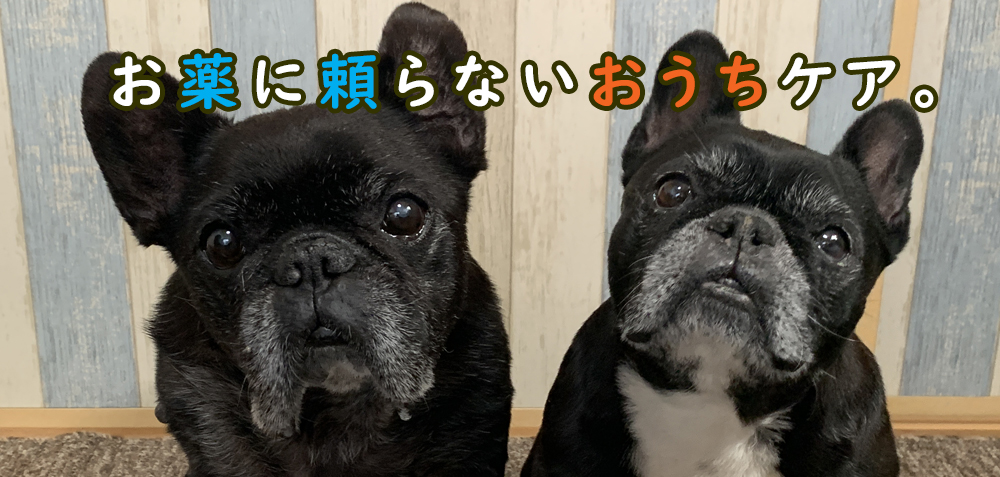 お薬に頼らないおうちケア