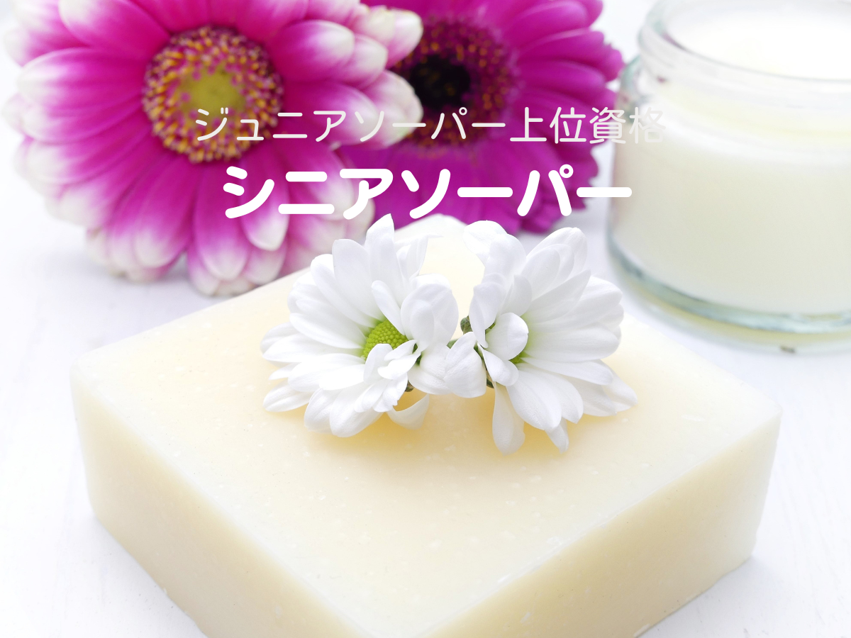 シニアソーパー