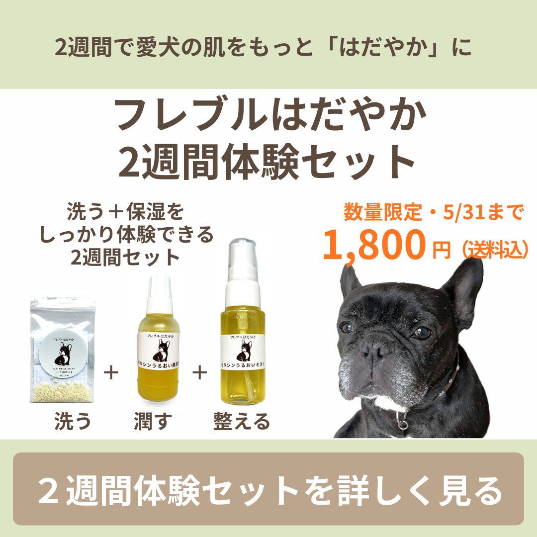 フレブルはだやか