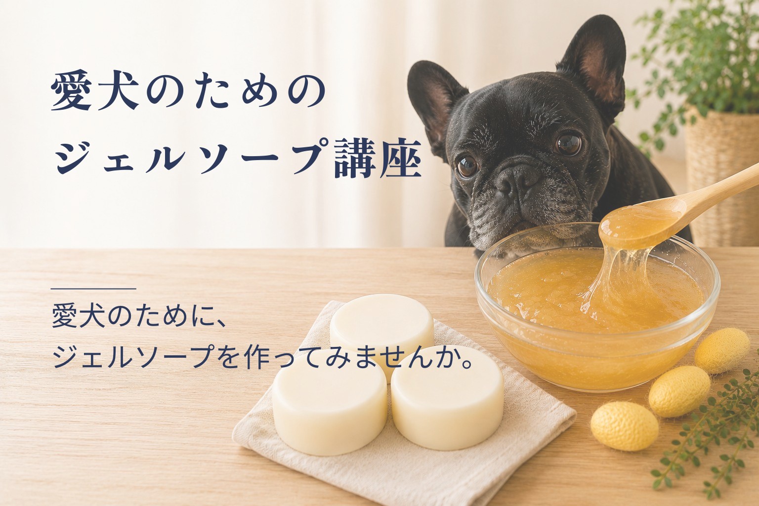 愛犬のためのジェルソープ講座