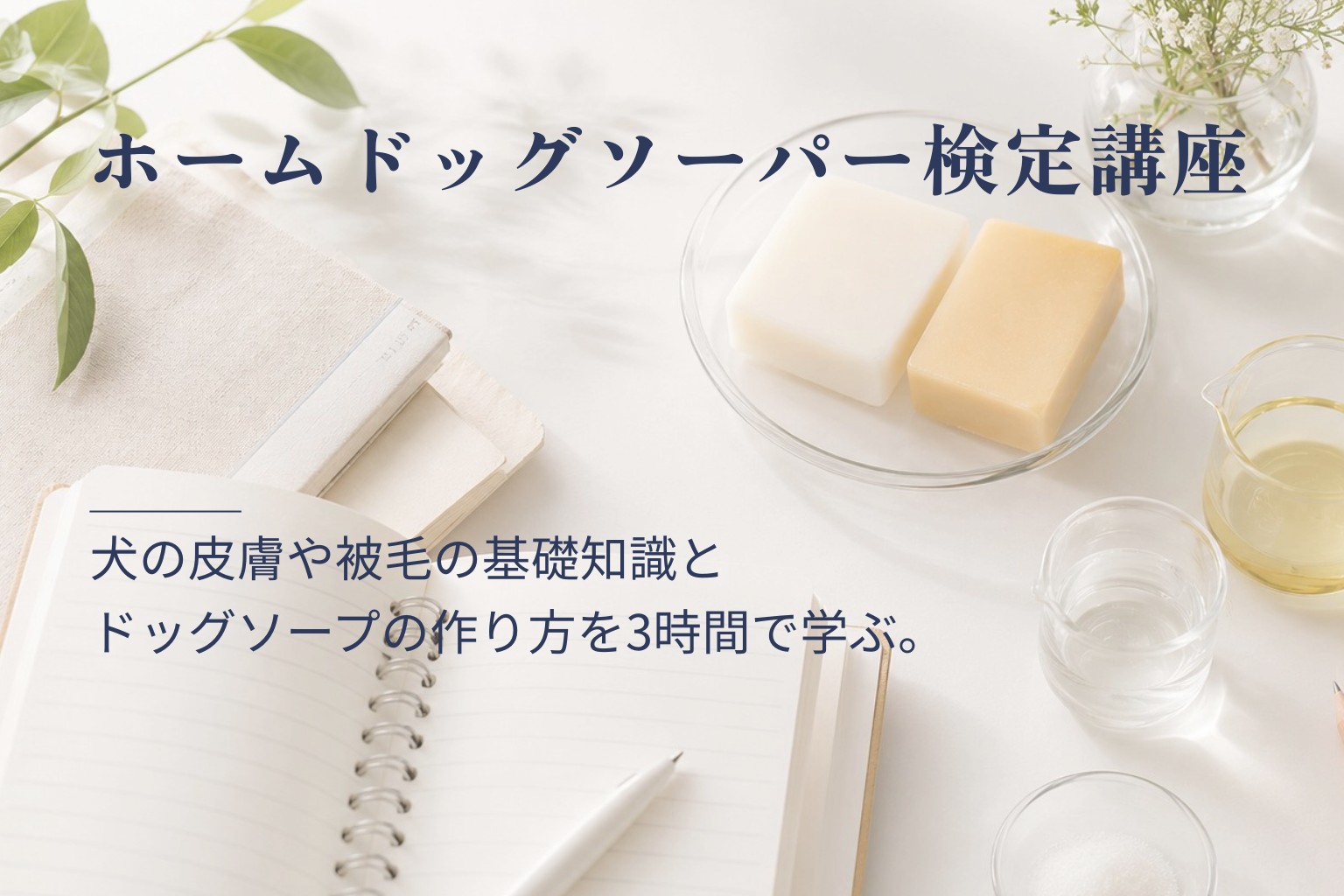ホームドッグソーパー検定