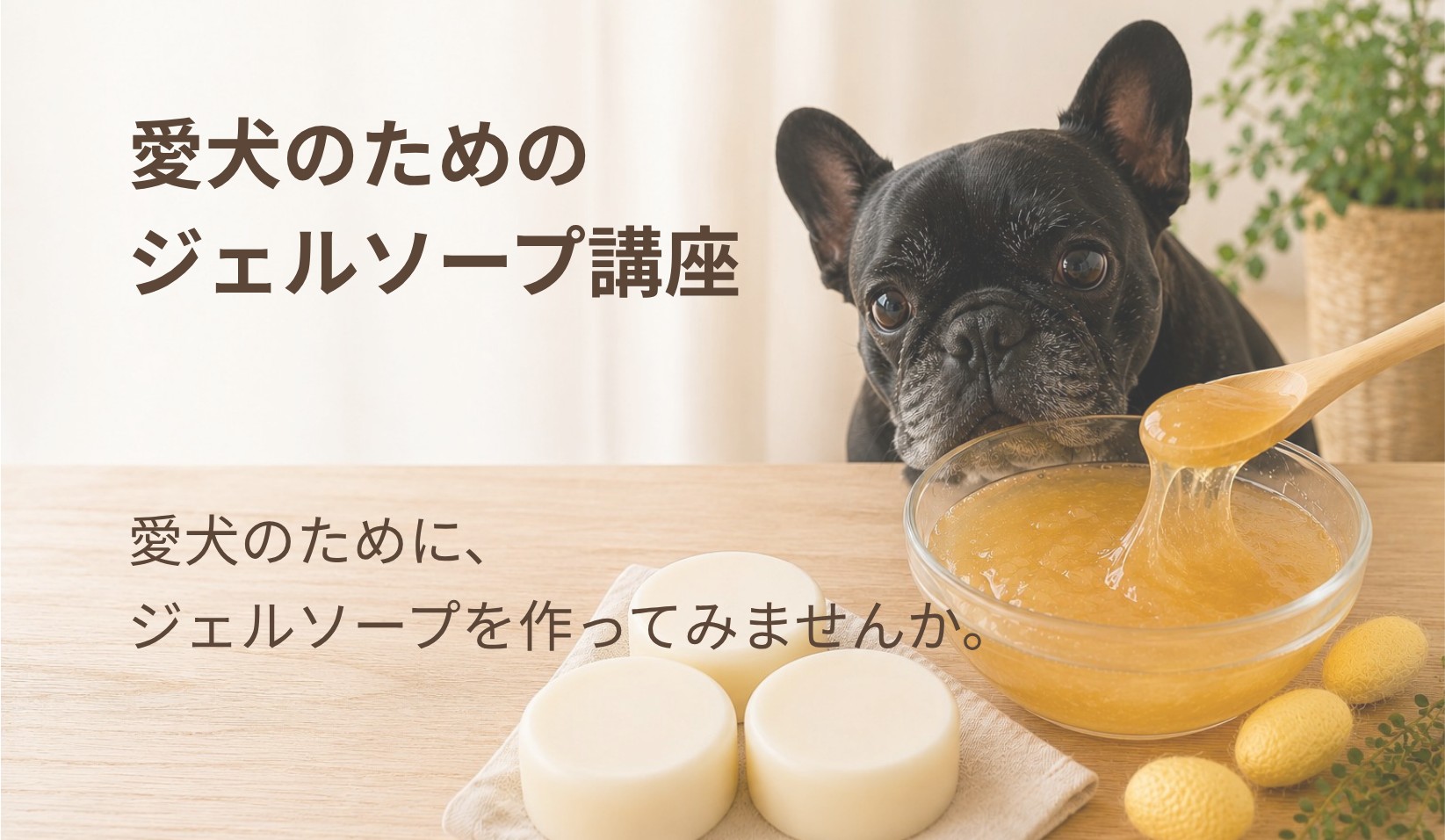 愛犬のためのジェルソープ講座