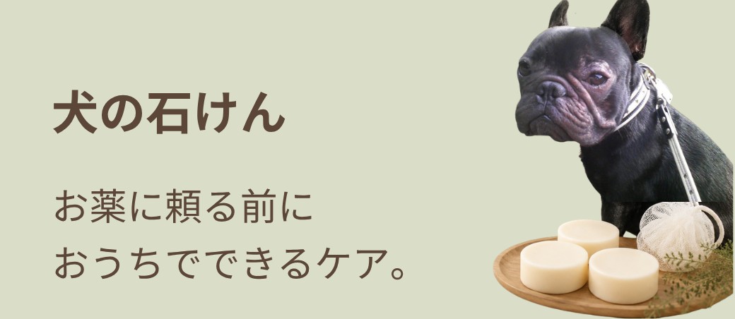 犬の石けん