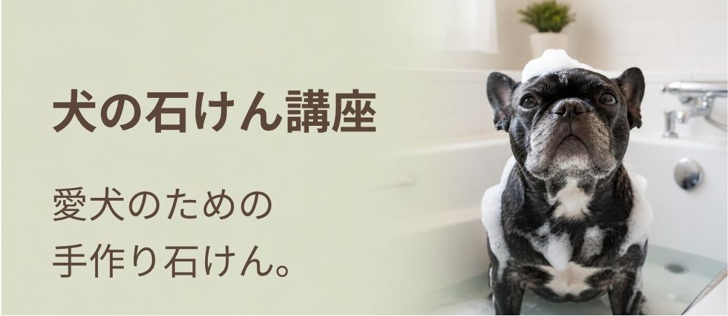 犬の石けん講座