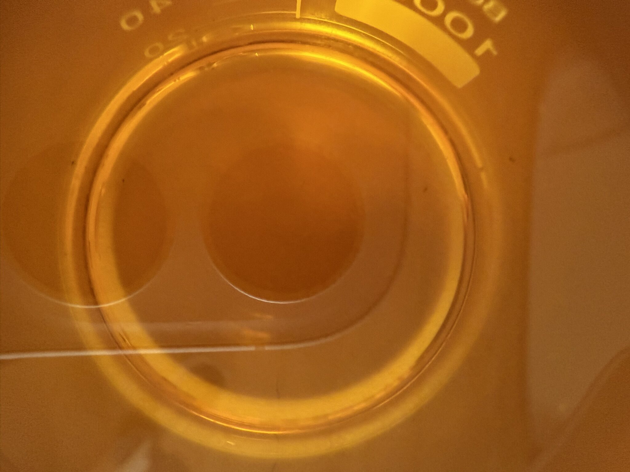 コーヒーフィルタで濾した廃油