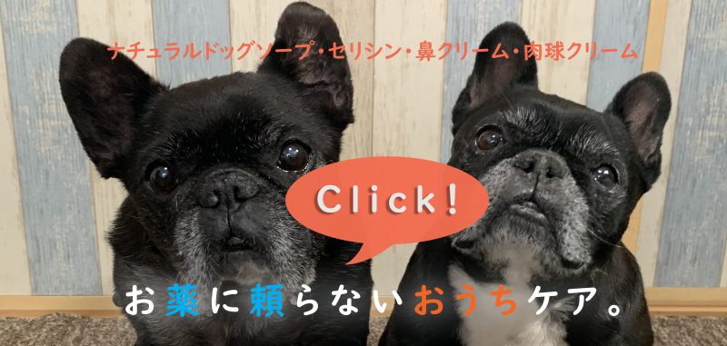 お薬に頼らないおうちケア