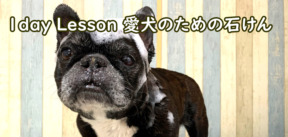 1dayレッスン・愛犬のための石けん