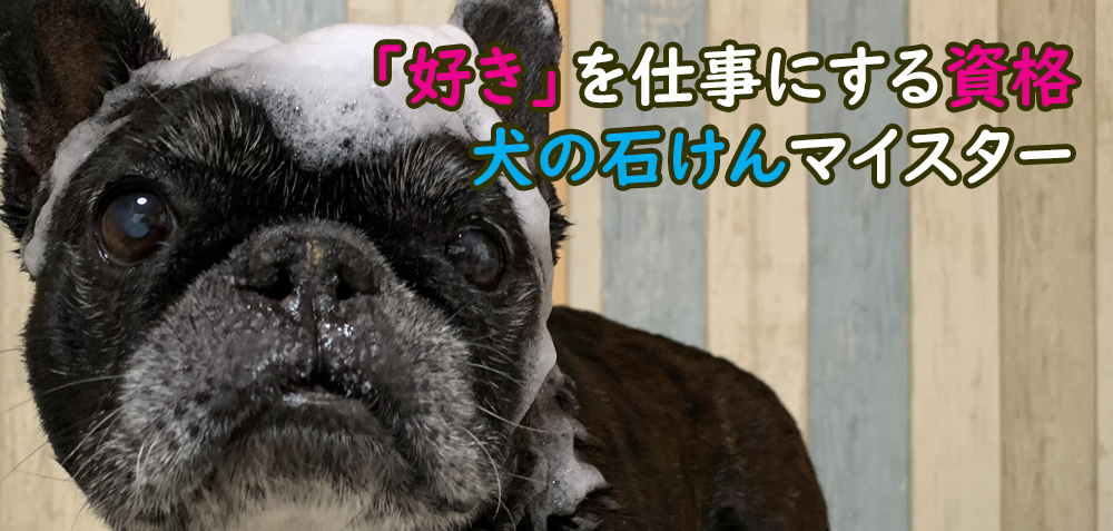 好きを仕事にする資格・犬の石けんマイスター