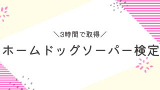 ホームドッグソーパー検定