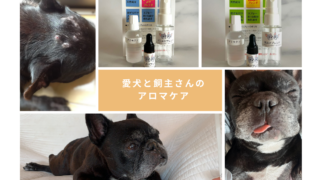 愛犬と飼主さんのアロマケア